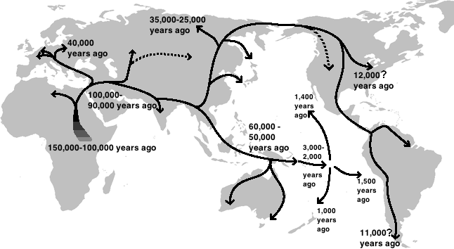 Human migration out of Africa.png