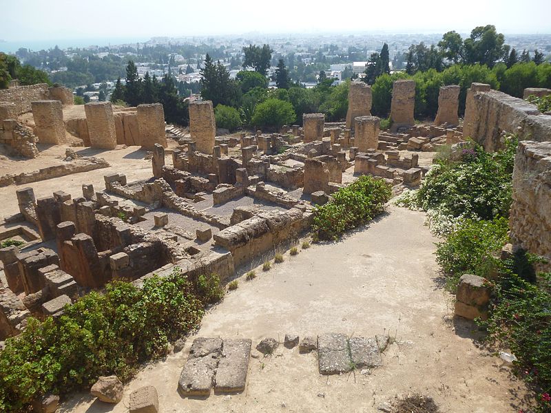 Datei:Archaeological Site of Carthage-130237.jpg