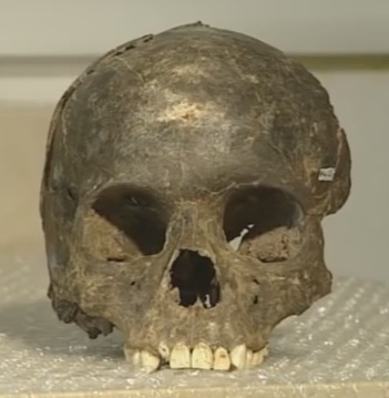 Datei:BBC Australian.jpg