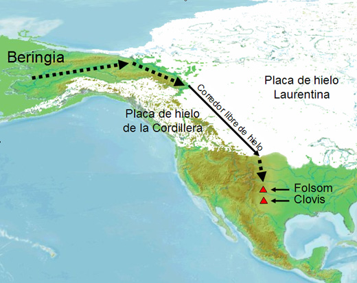 Datei:Beringia Paradigma.jpg