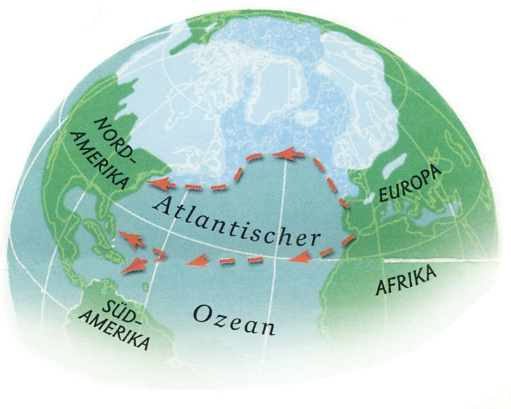 Datei:Bild 03 24 07 2023.jpg