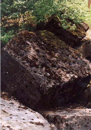 Datei:CFG 3.jpg