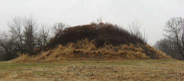 Dixon Mound Homer, Ohio.jpg