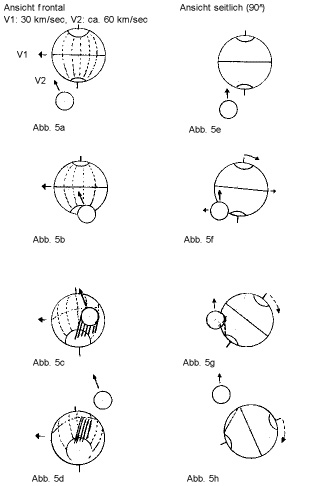 Datei:Ellmann 11.jpg