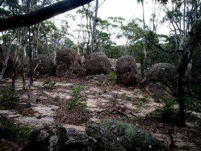 Datei:Kanagra alignment2.jpg