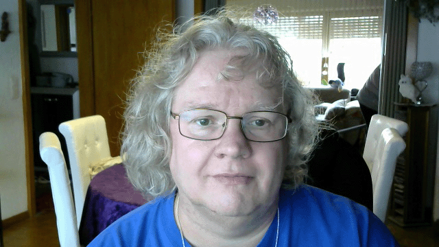 Datei:Picture 17 Kopie.gif