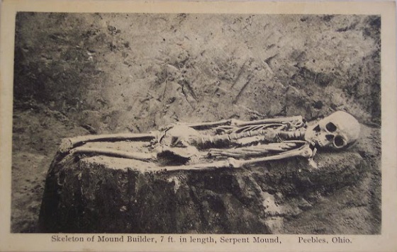 Datei:Skeleton of 7 ft Mound Builder Peebles Co Ohio - ME2.JPG