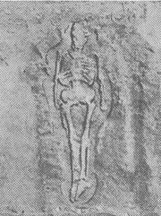 Datei:Sutton-7,5 Fuß Skelett-West Virginia-Kopie.jpg