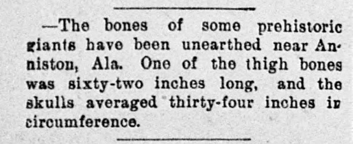 The-Louisiana-Democrat.-September-03-1890-pg-4.jpg