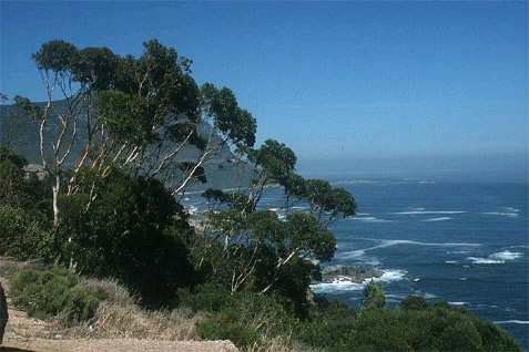 Datei:White Lady 15.jpg