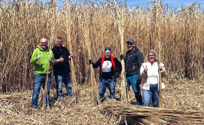 Datei:Bild 02 29 04 2025.jpg