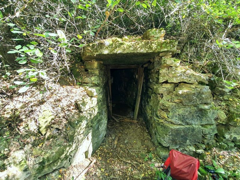 Datei:Bild 03 01 10 2021.jpg