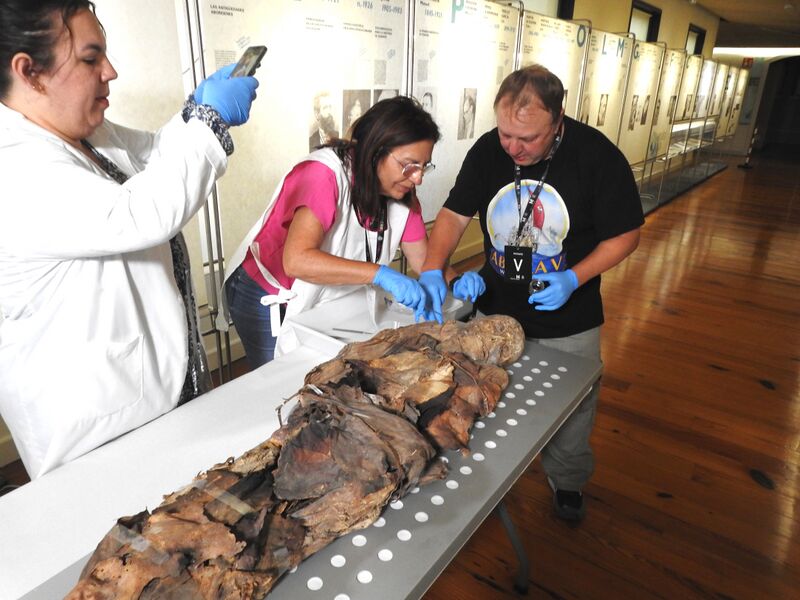 Datei:Bild 03 04 07 2025.jpg