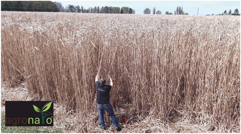 Datei:Bild 03 29 04 2025.jpg