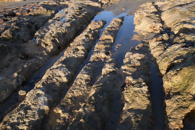 Datei:Bild 04 24 02 2026.jpg