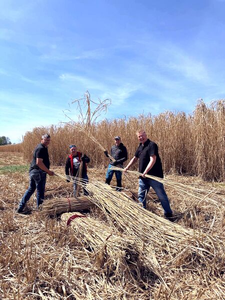 Datei:Bild 04 29 04 2025.jpg