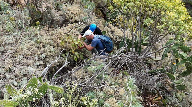 Datei:Bild 05 01 07 2025.jpg