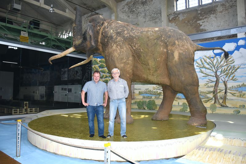 Datei:Bild 05 03 01 2023.jpg