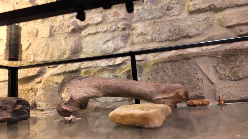 Datei:Bild 10 28 10 2025.jpg