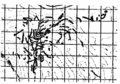 Vorschaubild der Version vom 17. März 2009, 09:23 Uhr