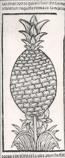 Datei:Oviedopineapple.jpg