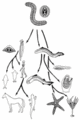 Sarre 2.gif